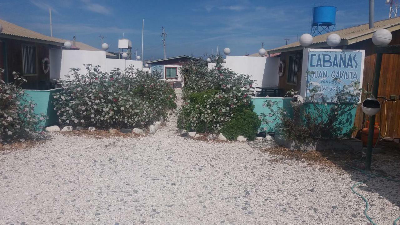 Cabanas Juan Gaviota Пунта-де-Чорос Экстерьер фото