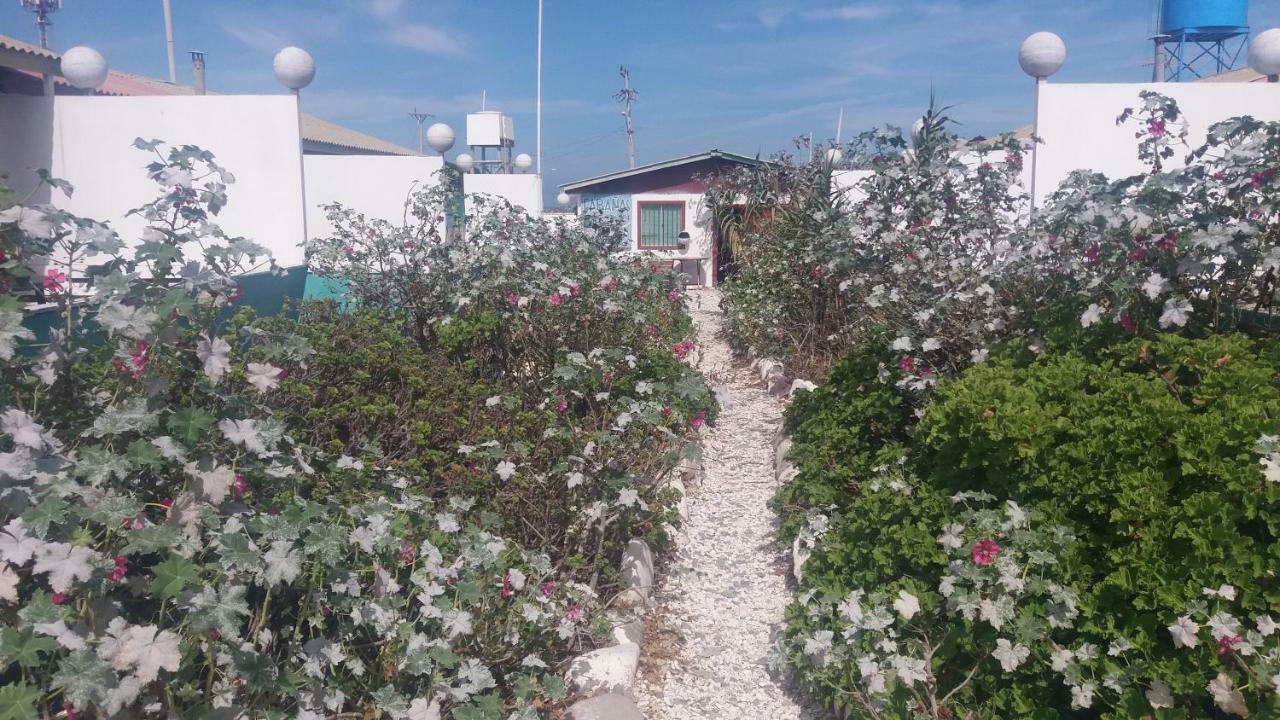 Cabanas Juan Gaviota Пунта-де-Чорос Экстерьер фото